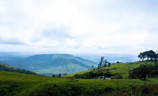 史性一跃 史性一跃